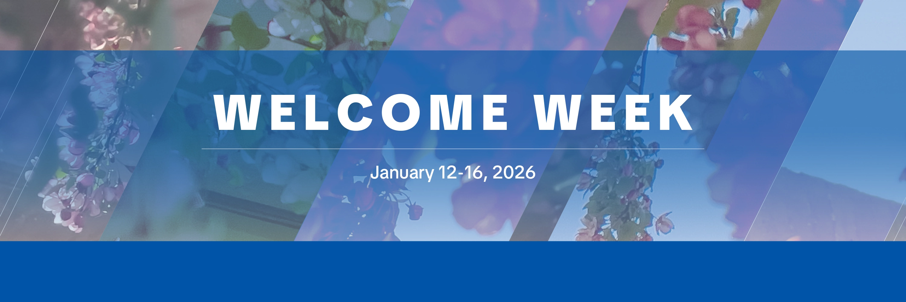 Welcome Back, Faculty!